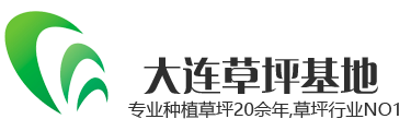 大连草坪
